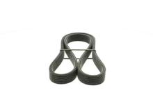 DAYCO 6DPK1225