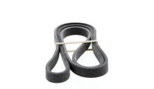 DAYCO 6DPK1817