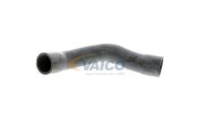 VAICO V20-1241