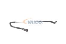 VAICO V20-1313
