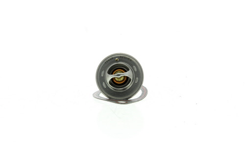 Thermostat d'eau (Calorstat) VERNET S.A.S. ref. TH1419.82J