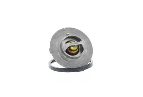 Thermostat d'eau (Calorstat) VERNET S.A.S. ref. TH2620.82J