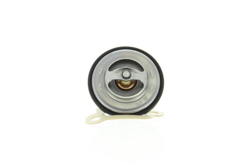 Thermostat d'eau (Calorstat) VERNET S.A.S. ref. TH5111.88J