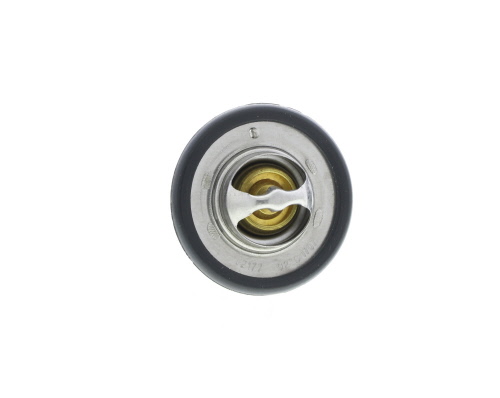 Thermostat d'eau (Calorstat) VERNET S.A.S. ref. TH5750.92J