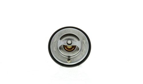 Thermostat d'eau (Calorstat) VERNET S.A.S. ref. TH5902.87J