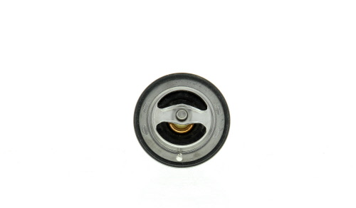 Thermostat d'eau (Calorstat) VERNET S.A.S. ref. TH6311.82J