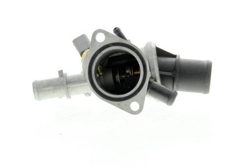 Thermostat d'eau (Calorstat) VERNET S.A.S. ref. TH6551.88J