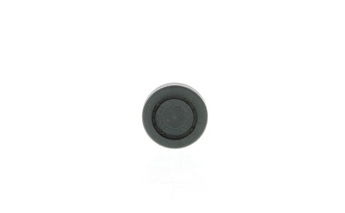 Bouchon, axe de culbuteurs-nez fileté CORTECO ref. 21653091