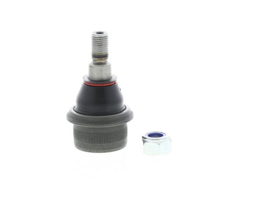 Butée hydraulique Coupé