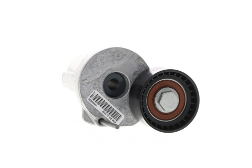 Galet tendeur de courroie d'accessoire SKF VKM 38339