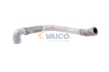 VAICO V30-1621