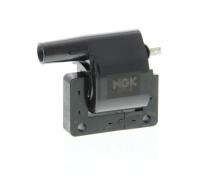 NGK 48129