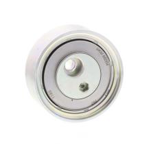 SKF VKM 66004