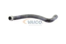 VAICO V30-1655
