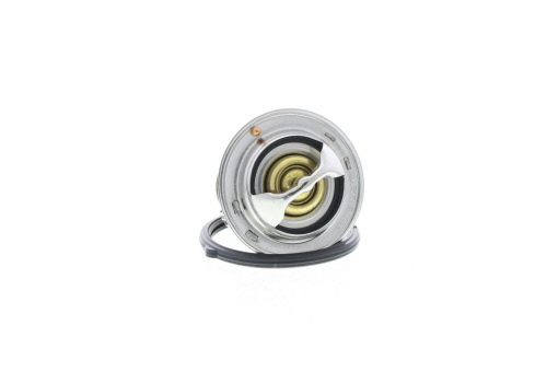Butée hydraulique Ranger