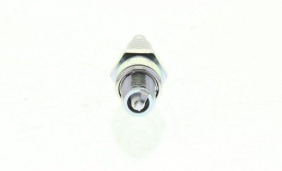 Butée hydraulique Coupé