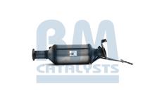 BM CATALYSTS BM11079