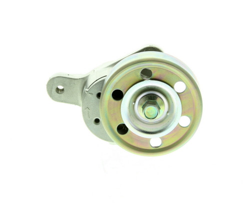 Galet tendeur de courroie d'accessoire SKF VKM 61019