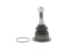 DELPHI TC2425