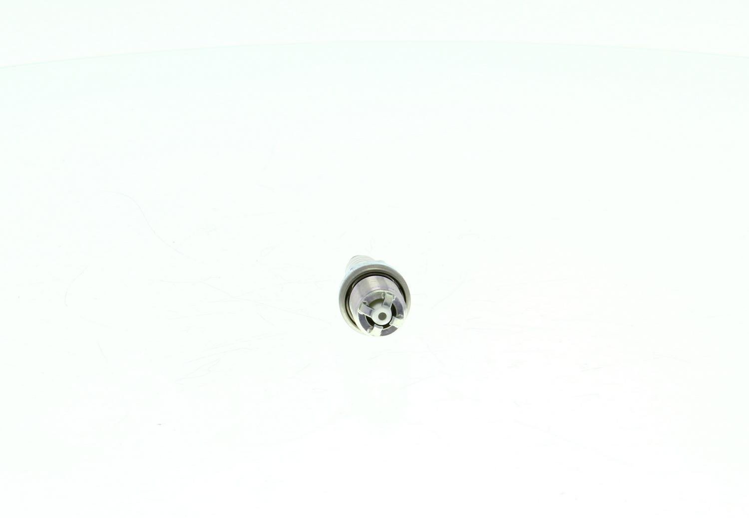 Butée hydraulique Coupé