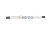 VAICO V20-1717