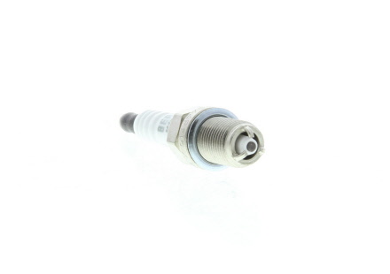 Butée hydraulique Coupé