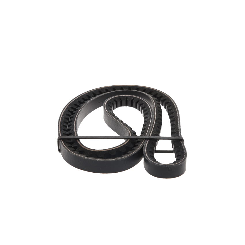 Correa trapezoidal nervada DAYCO  ref. 13A1225HD