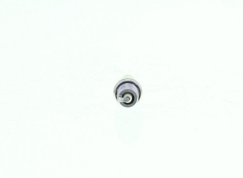 Butée hydraulique Sm