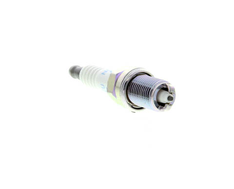Butée hydraulique Coupé