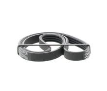 DAYCO 4PK811EE