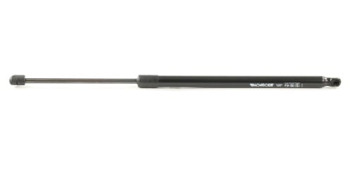 Butée hydraulique Ds