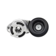 DAYCO  APV3057