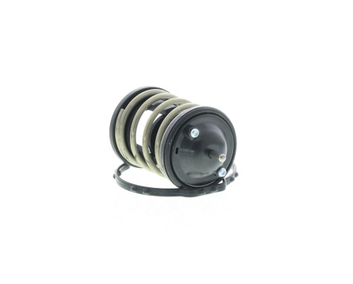 Butée hydraulique Sm