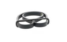 DAYCO  4PK812