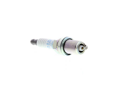 Butée hydraulique Coupé