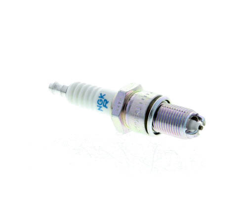 Butée hydraulique Coupé
