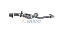 VAICO V20-2421