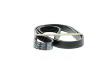 DAYCO 5PK1300