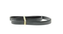 DAYCO  5PK1450