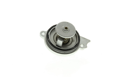 Thermostat d'eau (Calorstat) VERNET S.A.S. 6513.87