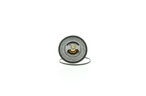 Termostato, refrigerante VERNET S.A.S. ref. 6581.82