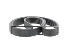 CONTITECH 6PK1010