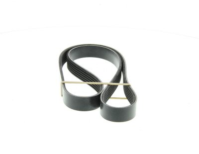 Courroie trapézoïdale à nervures DAYCO 6PK1095