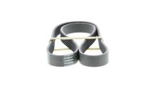 DAYCO 6PK1130