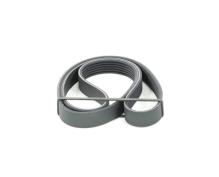 DAYCO 6PK1137