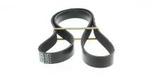 DAYCO  6PK1205