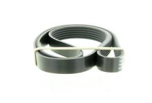 DAYCO 6PK1341