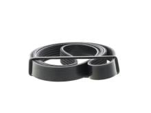 DAYCO 6PK1462