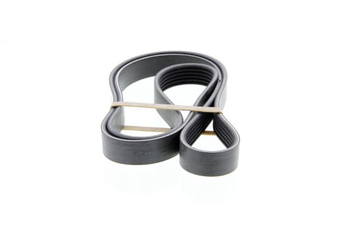 Courroie trapézoïdale à nervures DAYCO 6PK1510