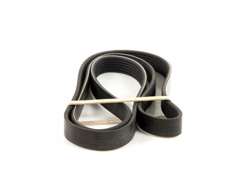 Courroie trapézoïdale à nervures DAYCO 6PK1520